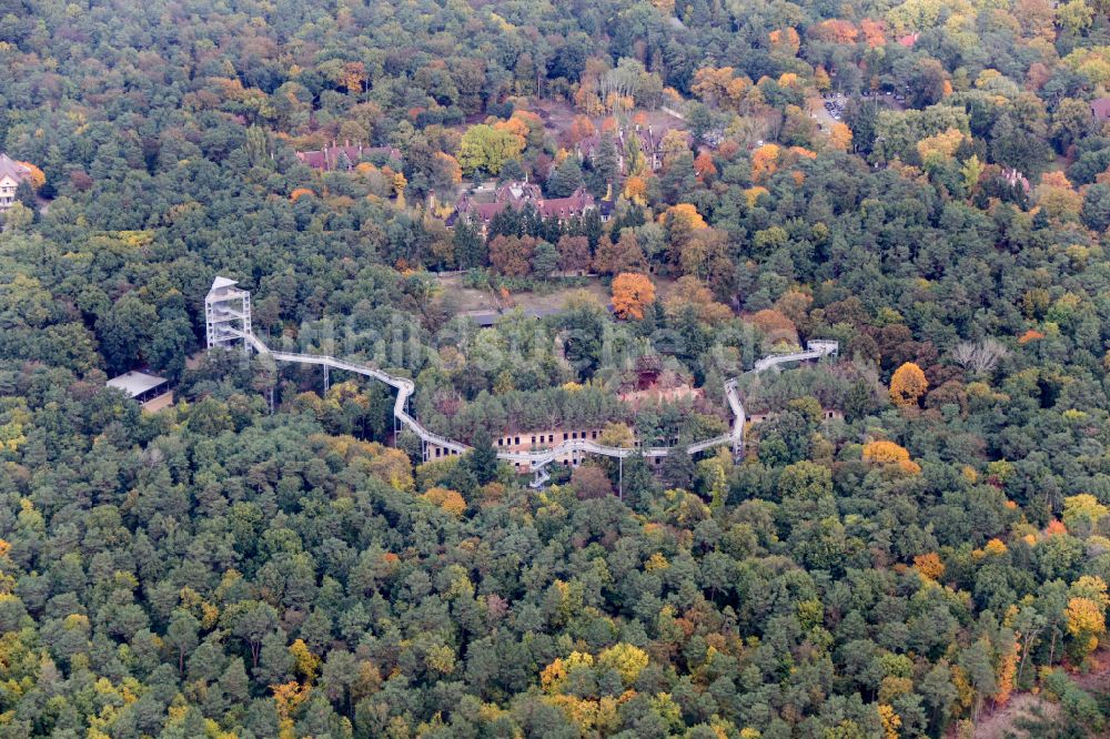 Beelitz von oben - Ruine des ehemaligen Klinik- und Krankenhaus - Gebäudes mit dem Baum & Zeit Baumkronenpfad in Beelitz im Bundesland Brandenburg