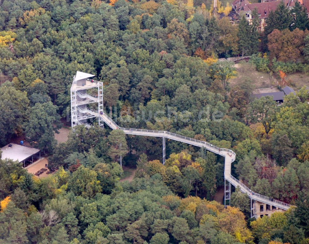 Luftaufnahme Beelitz - Ruine des ehemaligen Klinik- und Krankenhaus - Gebäudes mit dem Baum & Zeit Baumkronenpfad in Beelitz im Bundesland Brandenburg