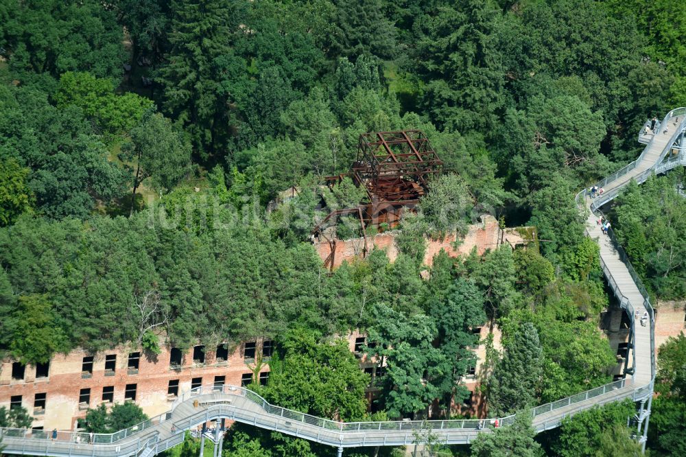 Beelitz aus der Vogelperspektive: Ruine des ehemaligen Klinik- und Krankenhaus - Gebäudes mit dem Baum & Zeit Baumkronenpfad in Beelitz im Bundesland Brandenburg