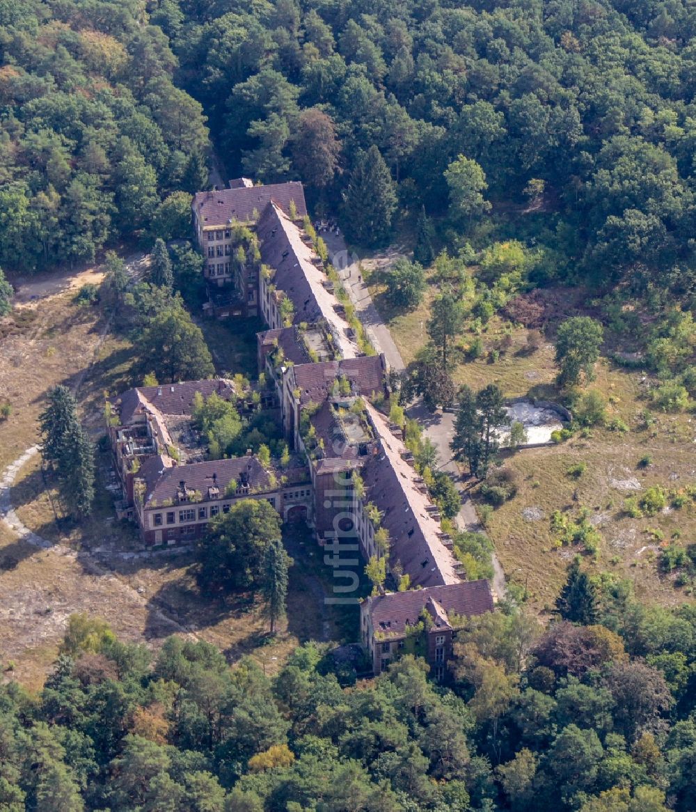 Luftbild Beelitz - Ruine des ehemaligen Klinik- und Krankenhaus - Gebäudes Beelitz Heilstätten in Beelitz im Bundesland Brandenburg