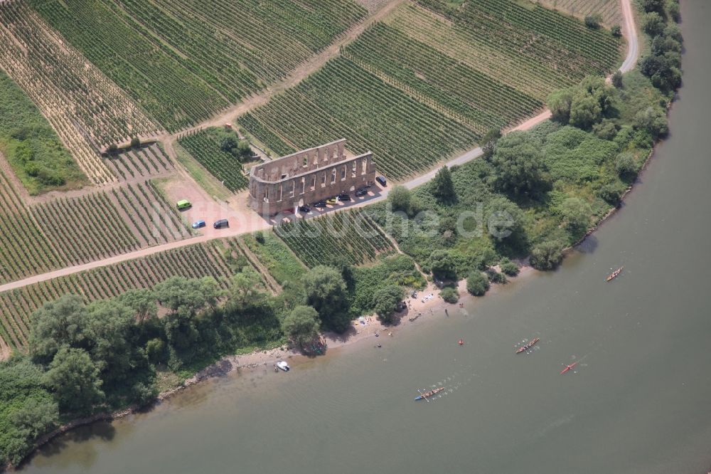 Luftbild Bremm - Ruine des Kirchengebäude der Abtei Kloster Stuben an der Mosel in Bremm im Bundesland Rheinland-Pfalz, Deutschland