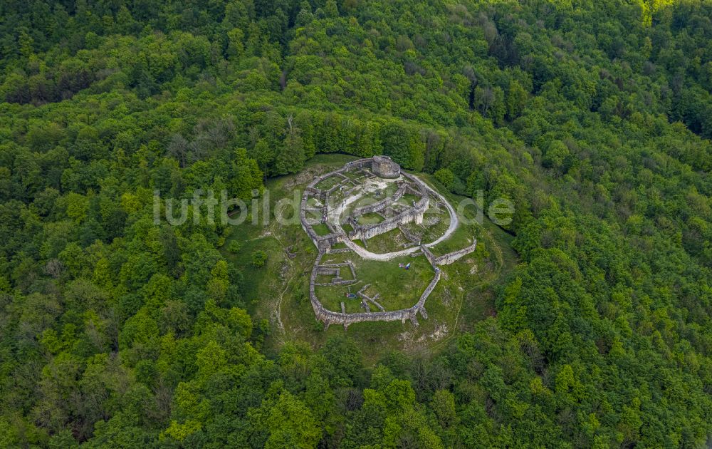 Luftbild Detmold - Ruine und Mauerreste der Burgruine Falkenburg in Detmold im Bundesland Nordrhein-Westfalen, Deutschland