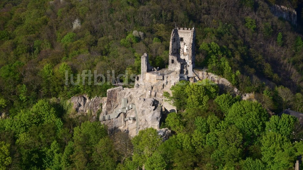 Luftbild Königswinter - Ruine und Mauerreste der ehemaligen Burganlage in Königswinter im Bundesland Nordrhein-Westfalen, Deutschland