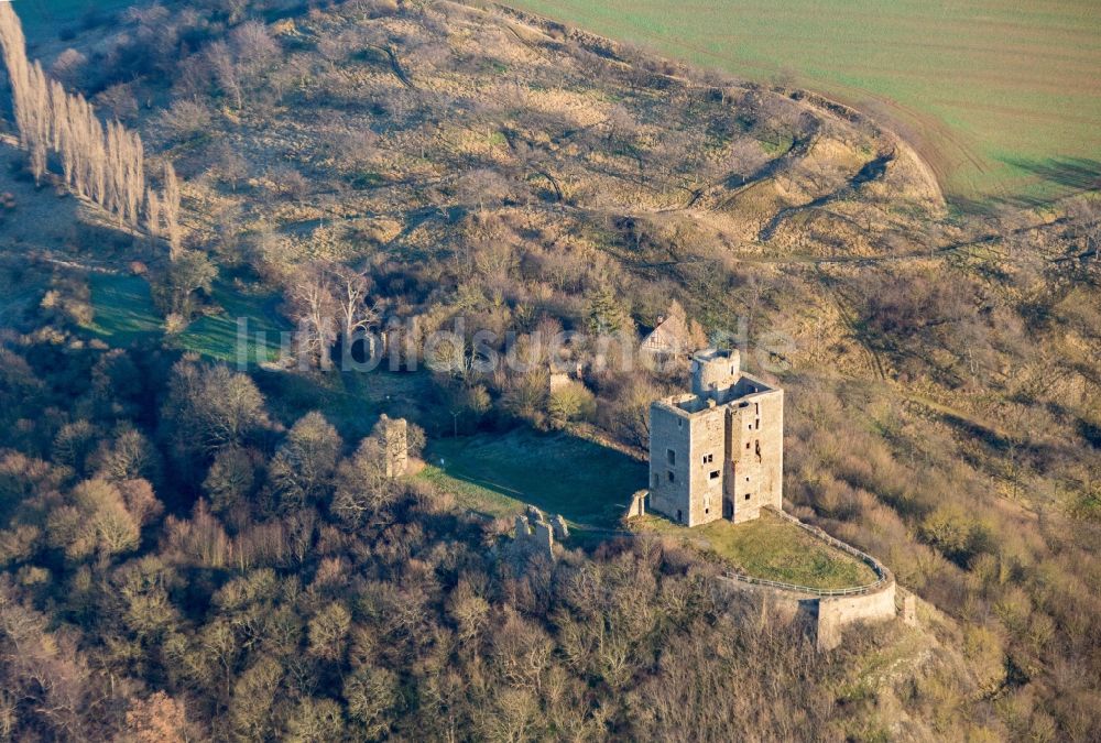 Harkerode aus der Vogelperspektive: Ruine und Mauerreste der ehemaligen Burganlage der Veste Burg Arnstein in Harkerode im Bundesland Sachsen-Anhalt, Deutschland