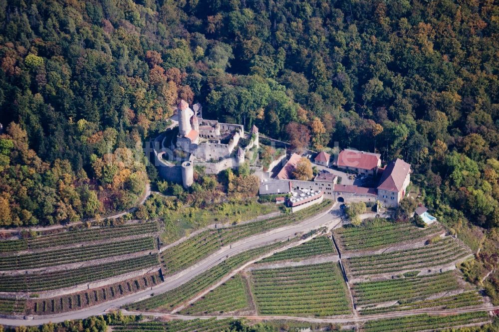 Luftaufnahme Neckarzimmern - Ruine und Mauerreste der ehemaligen Burganlage der Veste Burg Hornberg in Neckarzimmern im Bundesland Baden-Württemberg