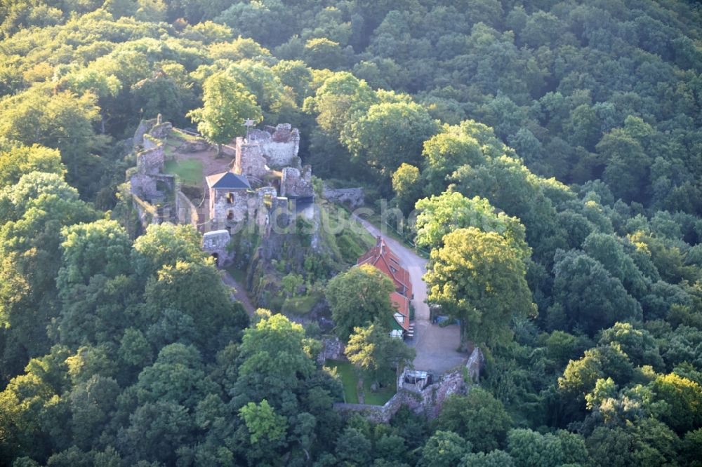 Neustadt/Harz von oben - Ruine und Mauerreste der ehemaligen Burganlage der Veste Burgruine Hohnstein an der Burgstraße in Neustadt/Harz im Bundesland Thüringen, Deutschland