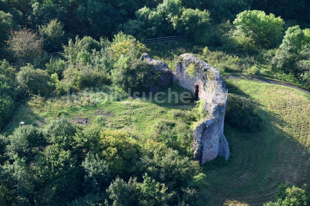 Ebsdorfergrund von oben - Ruine und Mauerreste der ehemaligen Burganlage der Veste Frauenberg Ruine in Ebsdorfergrund im Bundesland Hessen, Deutschland