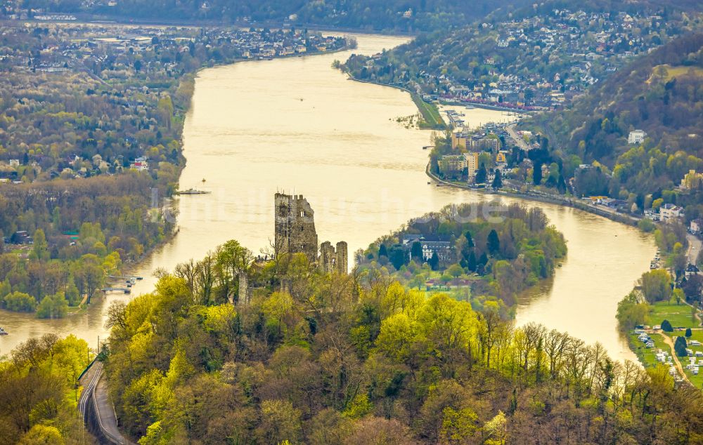 Königswinter von oben - Ruine und Mauerreste der ehemaligen Burganlage der Veste mit Gerüsten zur Sanierung und dem Restaurant Drachenfels am Drachenfels in Königswinter im Bundesland Nordrhein-Westfalen, Deutschland