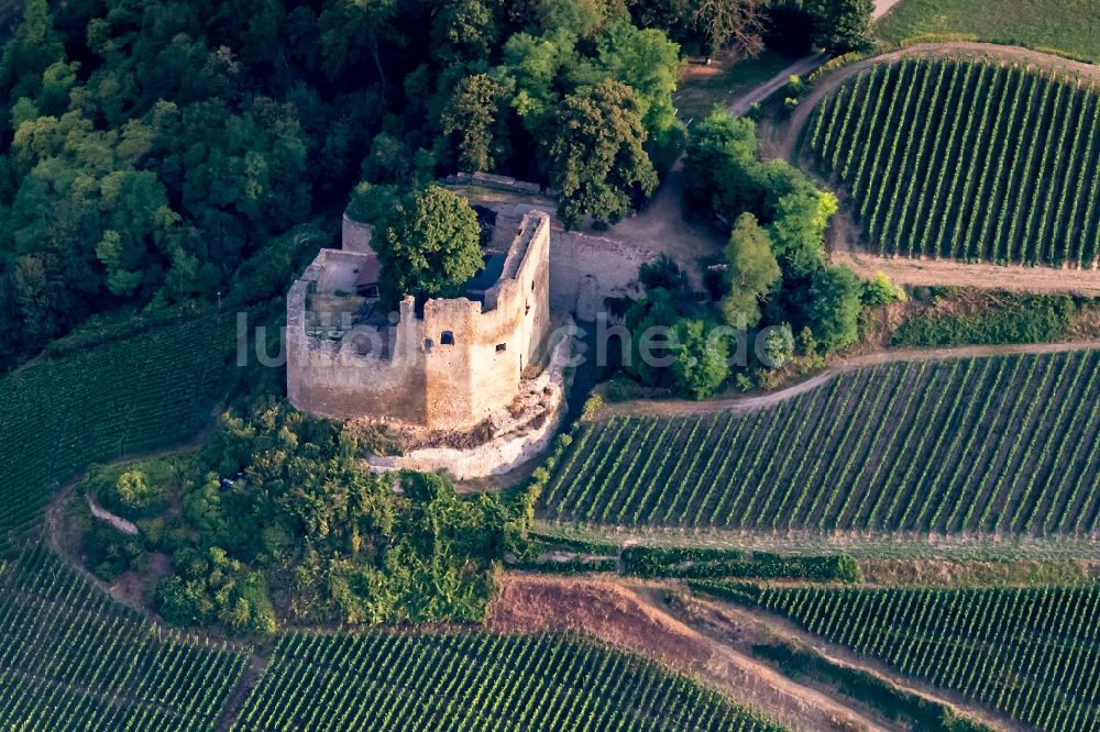 Luftbild Hecklingen - Ruine und Mauerreste der ehemaligen Burganlage der Veste Lichteneck in Hecklingen im Bundesland Baden-Württemberg, Deutschland