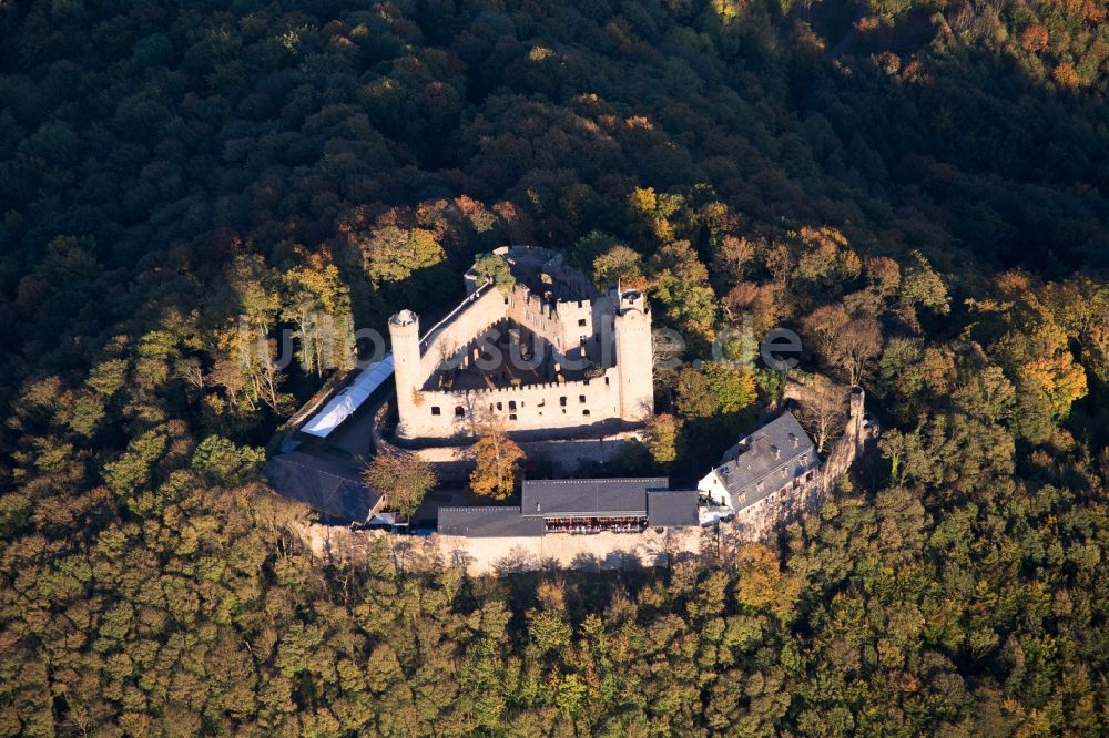 Alsbach-Hähnlein aus der Vogelperspektive: Ruine und Mauerreste der ehemaligen Burganlage der Veste Schloß Auerbach im Ortsteil Alsbach in Alsbach-Hähnlein im Bundesland Hessen