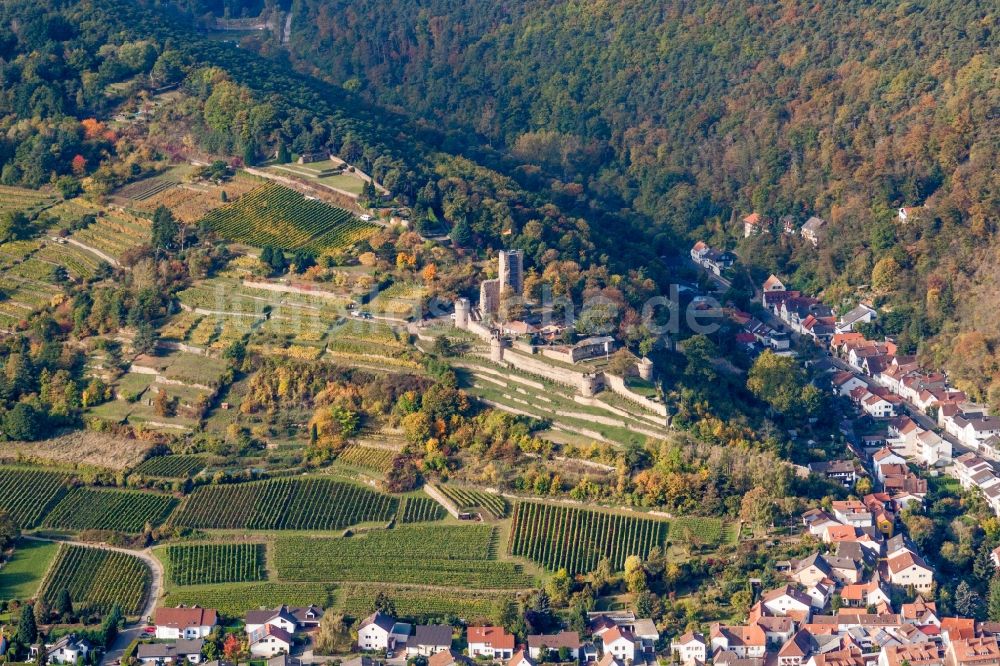 Luftbild Wachenheim an der Weinstraße - Ruine und Mauerreste der ehemaligen Burganlage Wachtenburg (Ruine Burg Wachenheim) in Wachenheim an der Weinstraße im Bundesland Rheinland-Pfalz, Deutschland