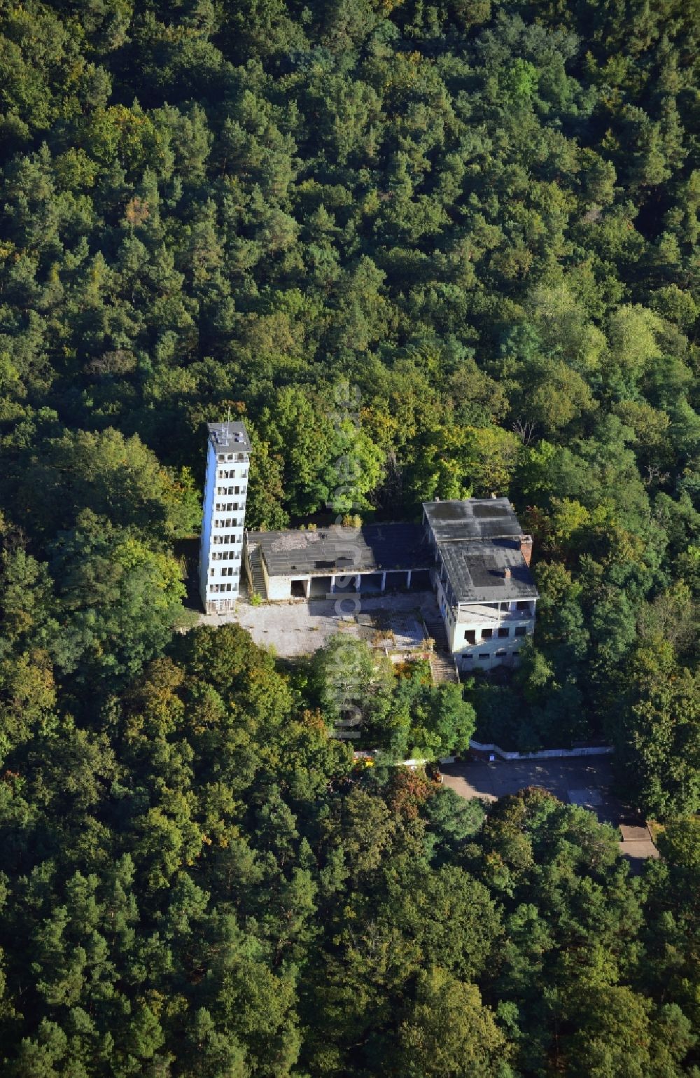 Berlin Friedrichshagen von oben - Ruine des verfallenden Müggelturm in den Müggelbergen in Berlin