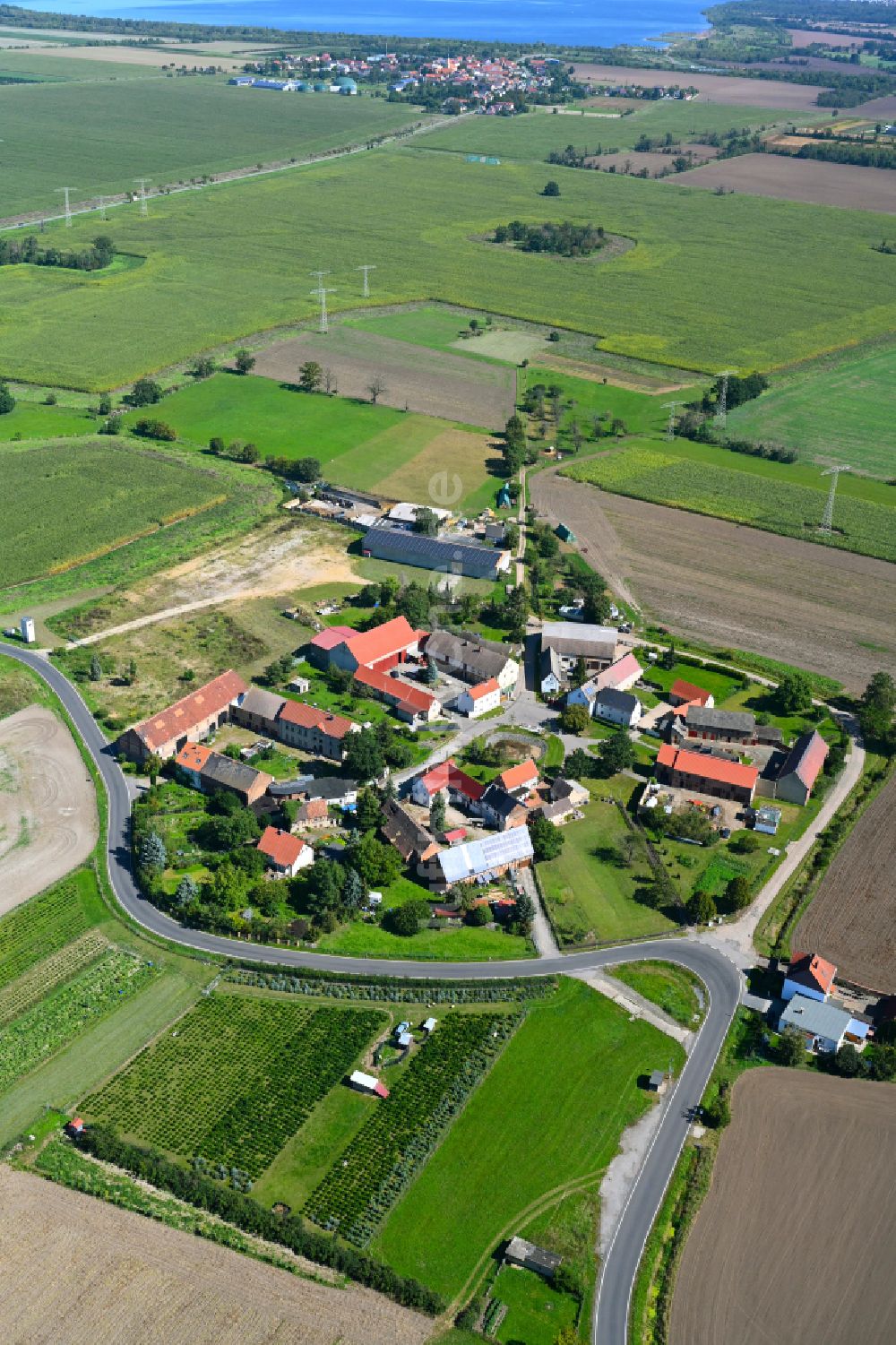 Peißen aus der Vogelperspektive: Rundlings- Dorf - Ansicht in Peißen im Bundesland Sachsen, Deutschland