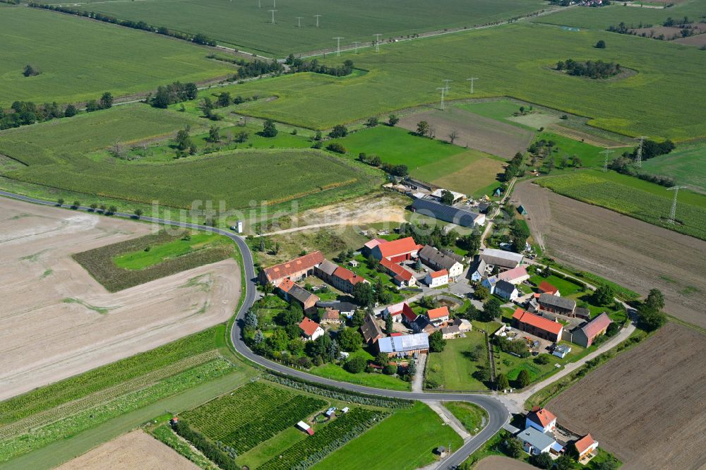 Luftbild Peißen - Rundlings- Dorf - Ansicht in Peißen im Bundesland Sachsen, Deutschland