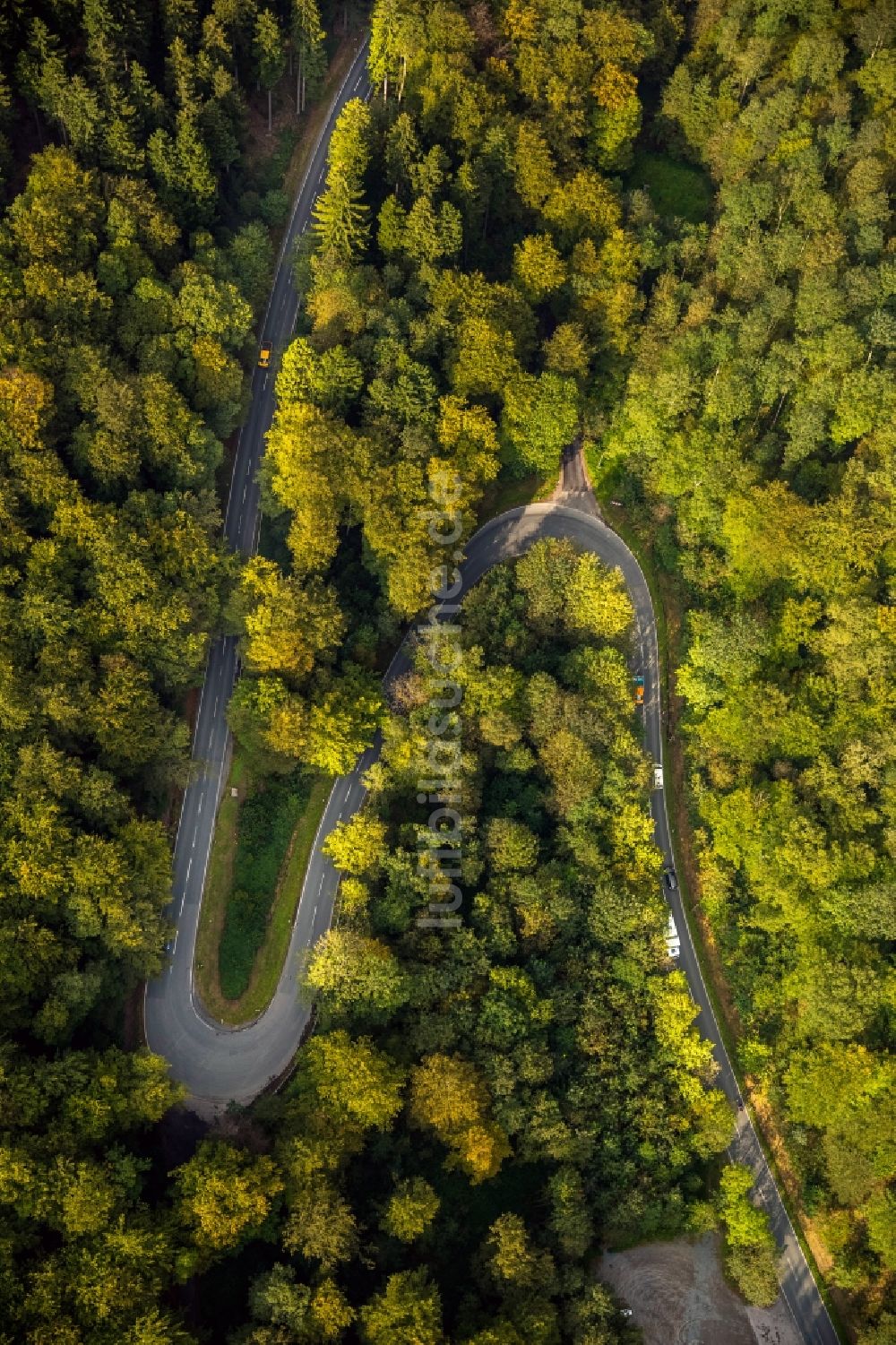 Luftbild Schmallenberg - S-Kurve im Laubwald des Hochsauerland in Schmallenberg im Bundesland Nordrhein-Westfalen