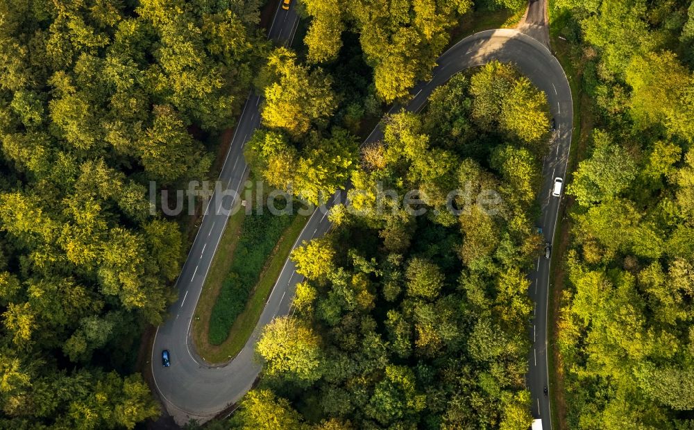 Luftaufnahme Schmallenberg - S-Kurve im Laubwald des Hochsauerland in Schmallenberg im Bundesland Nordrhein-Westfalen