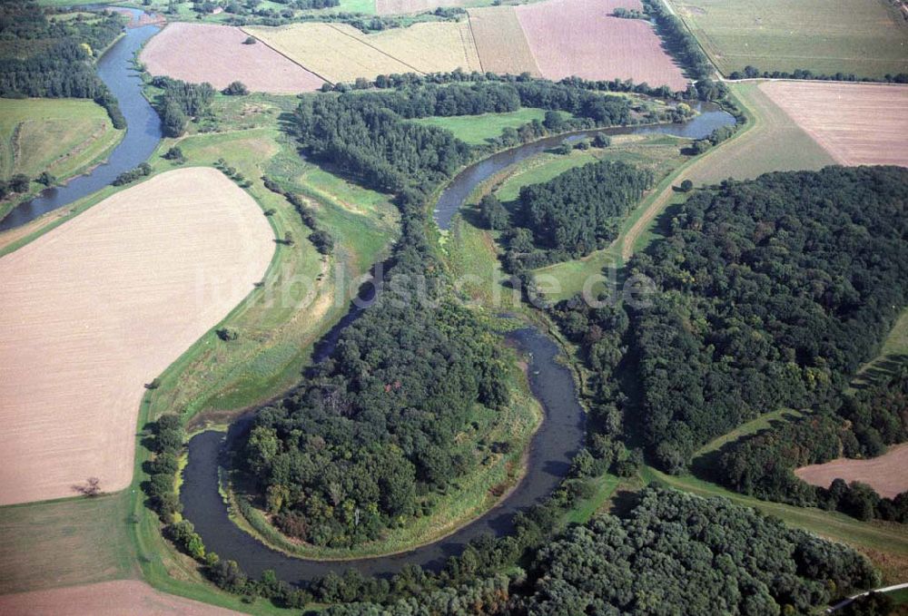 Tornitz aus der Vogelperspektive: Saalemündung bei Tornitz