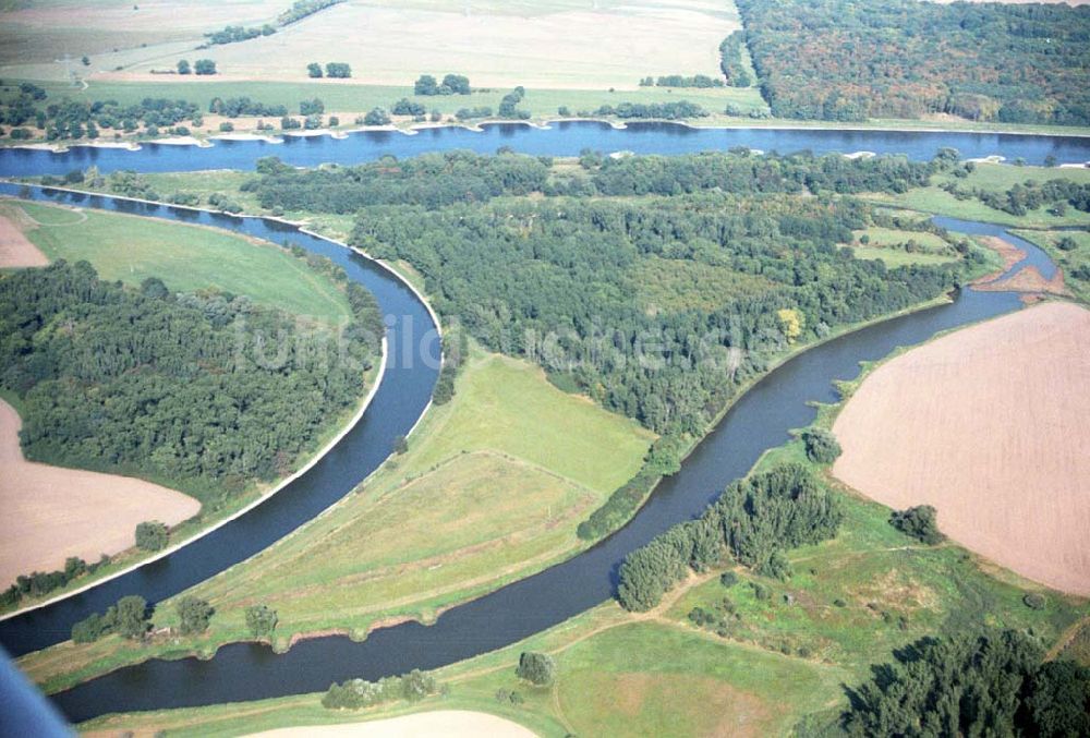 Luftaufnahme Tornitz - Saalemündung bei Tornitz