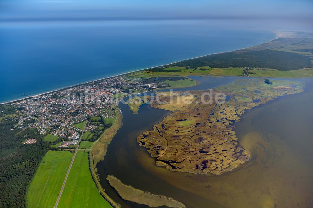 Zingst von oben - Salzgrasland -Insel in Zingst im Bundesland Mecklenburg-Vorpommern