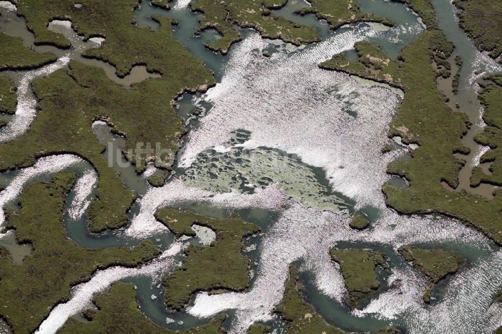 Rainham aus der Vogelperspektive: Salzmarschen am Medway