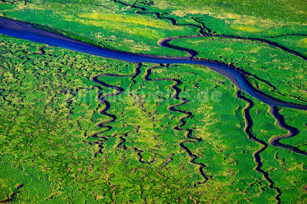 Luftbild Sankt Peter-Ording - Salzwiesen Landschaft an der Nordsee - Küste im Ortsteil Sankt Peter-Ording in Sankt Peter-Ording im Bundesland Schleswig-Holstein