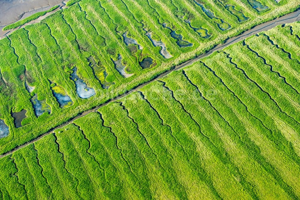 Luftbild Westerhever - Salzwiesen zur Salzgewinnung im Ortsteil Hauert in Westerhever im Bundesland Schleswig-Holstein