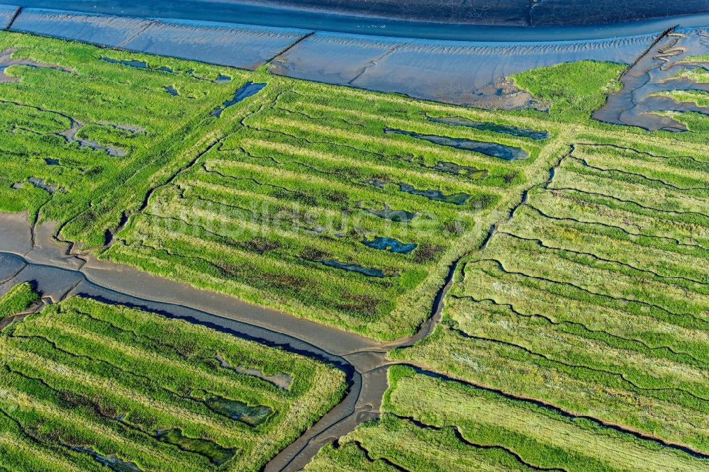 Luftaufnahme Westerhever - Salzwiesen zur Salzgewinnung im Ortsteil Hauert in Westerhever im Bundesland Schleswig-Holstein