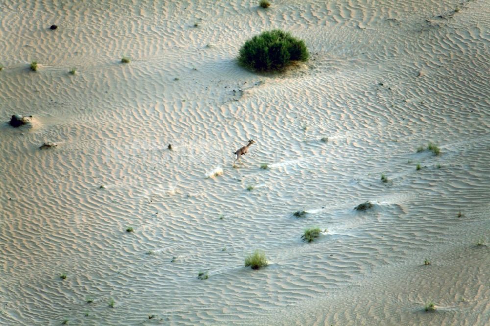 Dubai aus der Vogelperspektive: Sand- Dünen- und Wüsten- Landschaft bei Dubai, Vereinigte Arabische Emirate