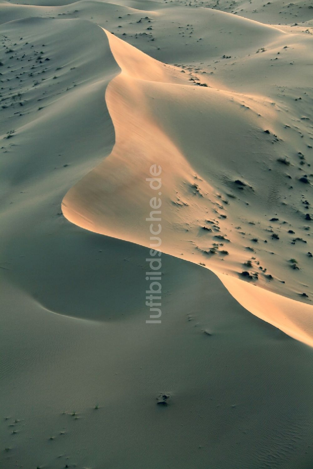 Luftbild Dubai - Sand- Dünen- und Wüsten- Landschaft bei Dubai, Vereinigte Arabische Emirate