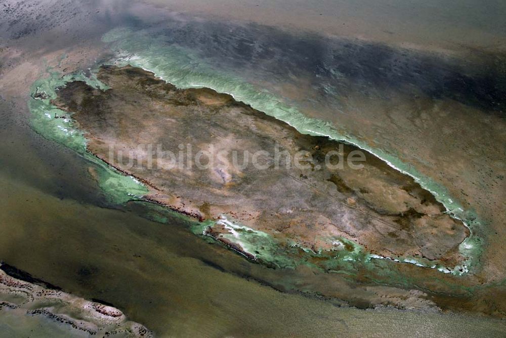 Luftaufnahme Zarrenzin - Sandbank in der Klimphoresbucht bei Zarrenzin