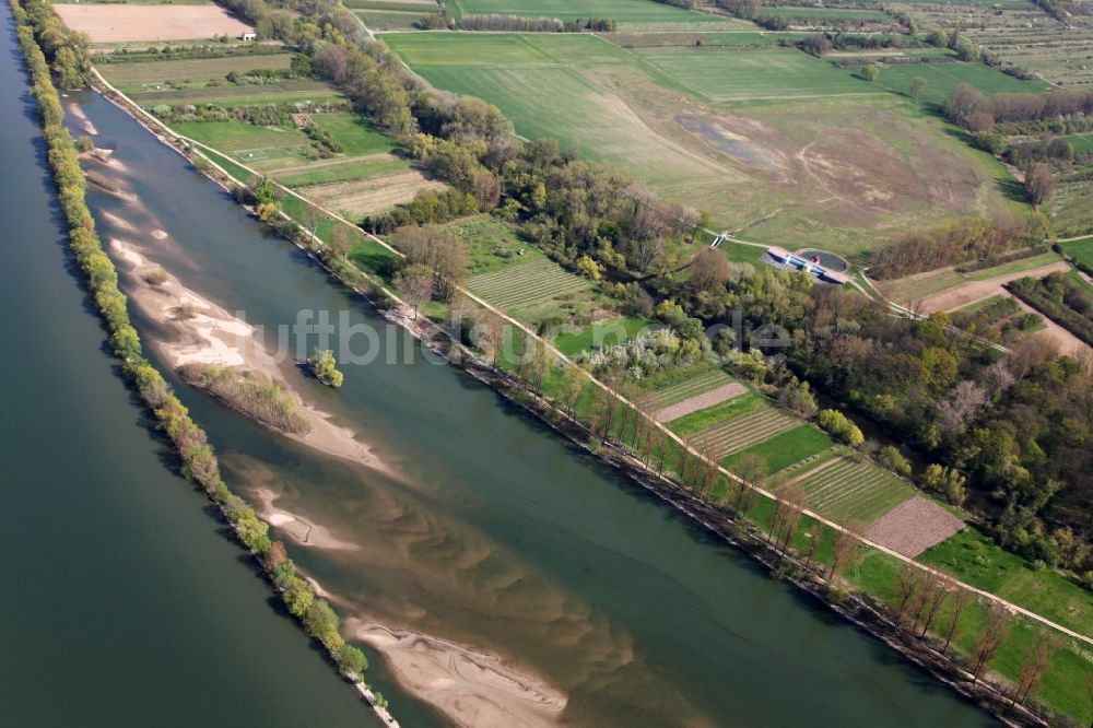 Ingelheim am Rhein aus der Vogelperspektive: Sandbank im Rhein in Ingelheim am Rhein im Bundesland Rheinland-Pfalz