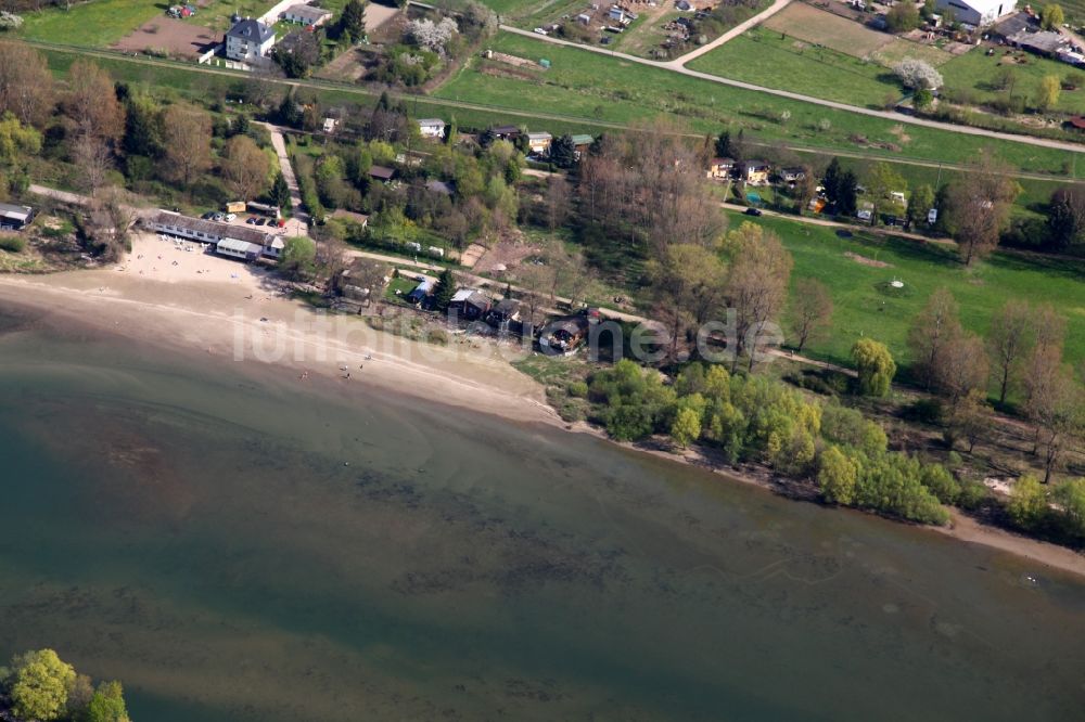 Luftbild Ingelheim am Rhein - Sandbank im Rhein in Ingelheim am Rhein im Bundesland Rheinland-Pfalz