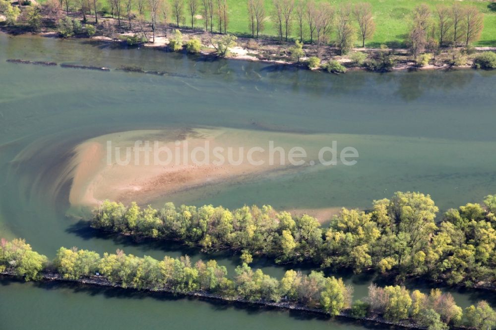 Luftaufnahme Ingelheim am Rhein - Sandbank im Rhein in Ingelheim am Rhein im Bundesland Rheinland-Pfalz