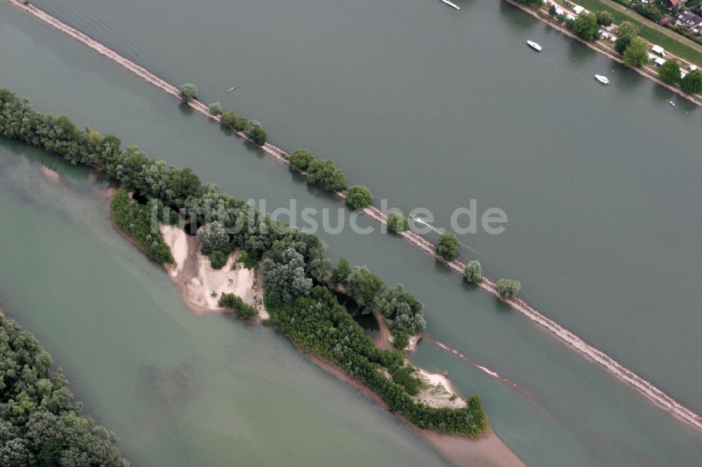 Luftaufnahme Ingelheim am Rhein - Sandbank im Rhein im Ortsteil Heidenfahrt in Heidesheim im Bundesland Rheinland-Pfalz