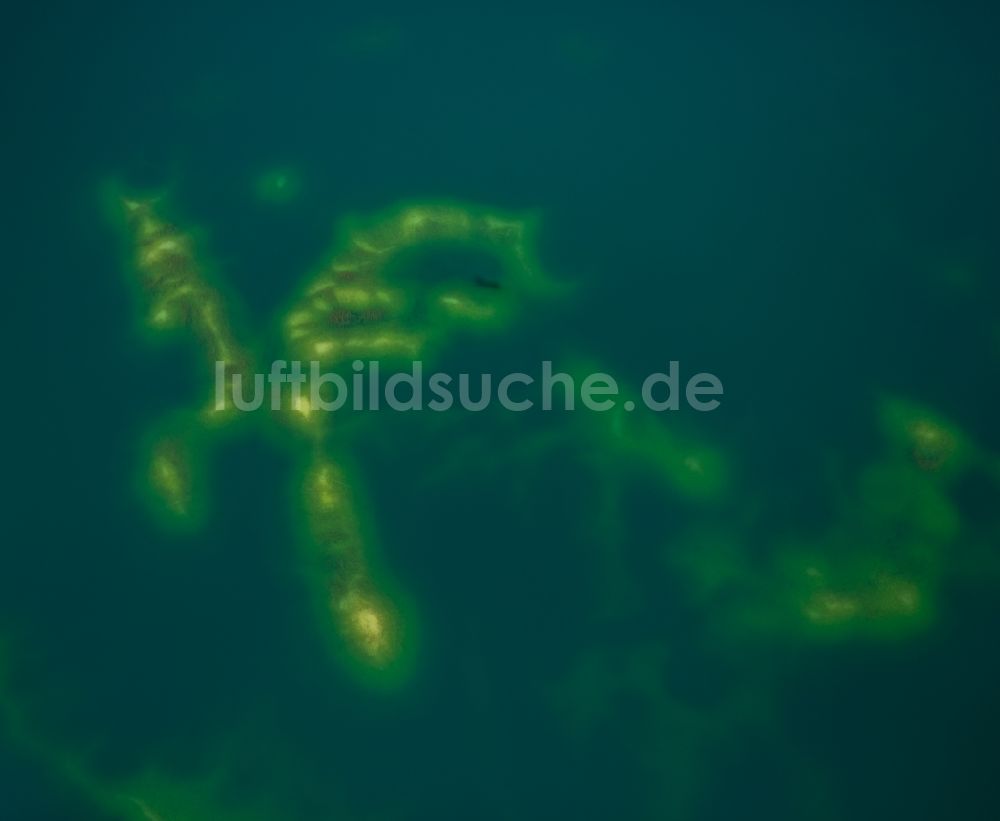 Voerde (Niederrhein) aus der Vogelperspektive: Sandbank im Tenderingssee in Voerde (Niederrhein) im Bundesland Nordrhein-Westfalen - NRW, Deutschland