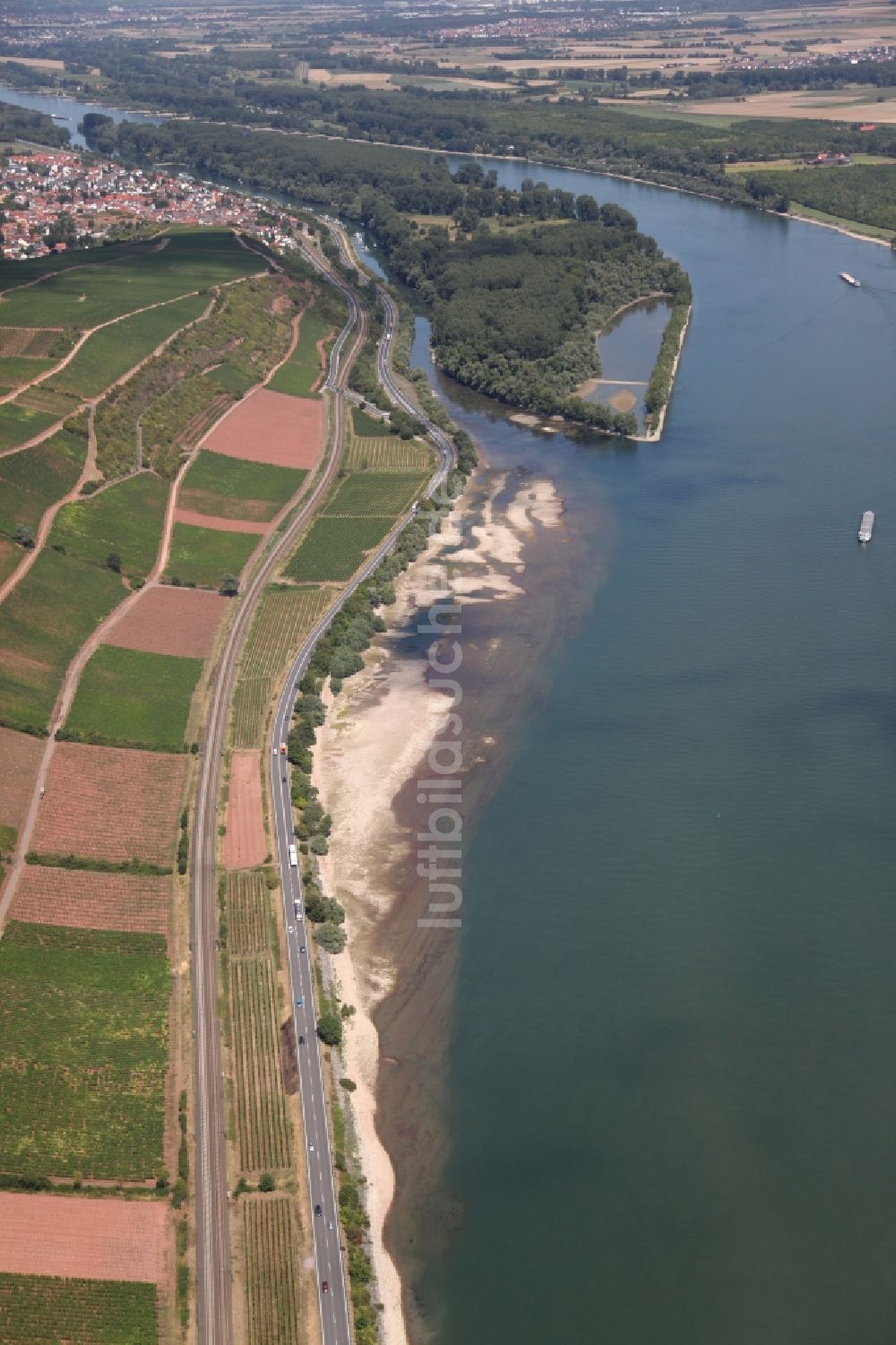 Luftbild Nackenheim - Sandbänke bei Niedrigwasser des Rheins bei Nackenheim im Bundesland Rheinland-Pfalz