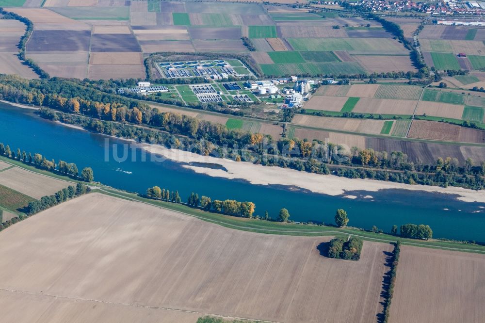 Luftaufnahme Mannheim - Sandbänke an den Uferbereichen des Rheins und Klärwerk Sandhofen im Ortsteil Sandhofen in Mannheim im Bundesland Baden-Württemberg, Deutschland