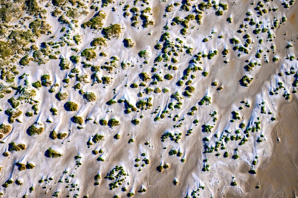 Wittdün auf Amrum aus der Vogelperspektive: Sandstrand- und Dünenlandschaft in Wittdün auf Amrum im Bundesland Schleswig-Holstein, Deutschland