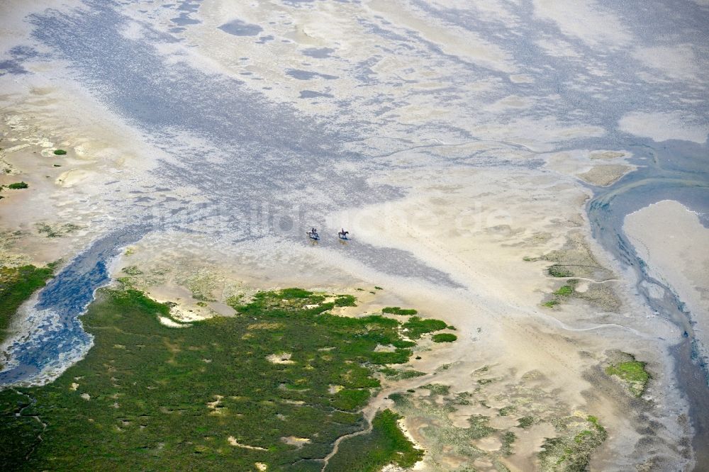 Luftaufnahme Sankt Peter-Ording - Sandstrand- Landschaft an der Nordsee - Küste in Sankt Peter-Ording im Bundesland Schleswig-Holstein