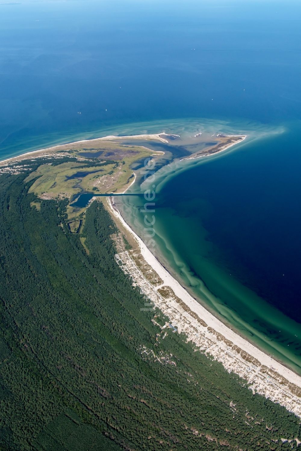 Prerow von oben - Sandstrand- Landschaft an der Ostsee nahe Prerow im Bundesland Mecklenburg-Vorpommern