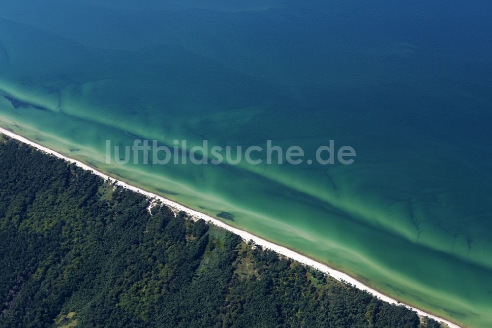 Born am Darß von oben - Sandstrand- Landschaft an der Ostsee im Ortsteil Darsser Ort in Born am Darß im Bundesland Mecklenburg-Vorpommern