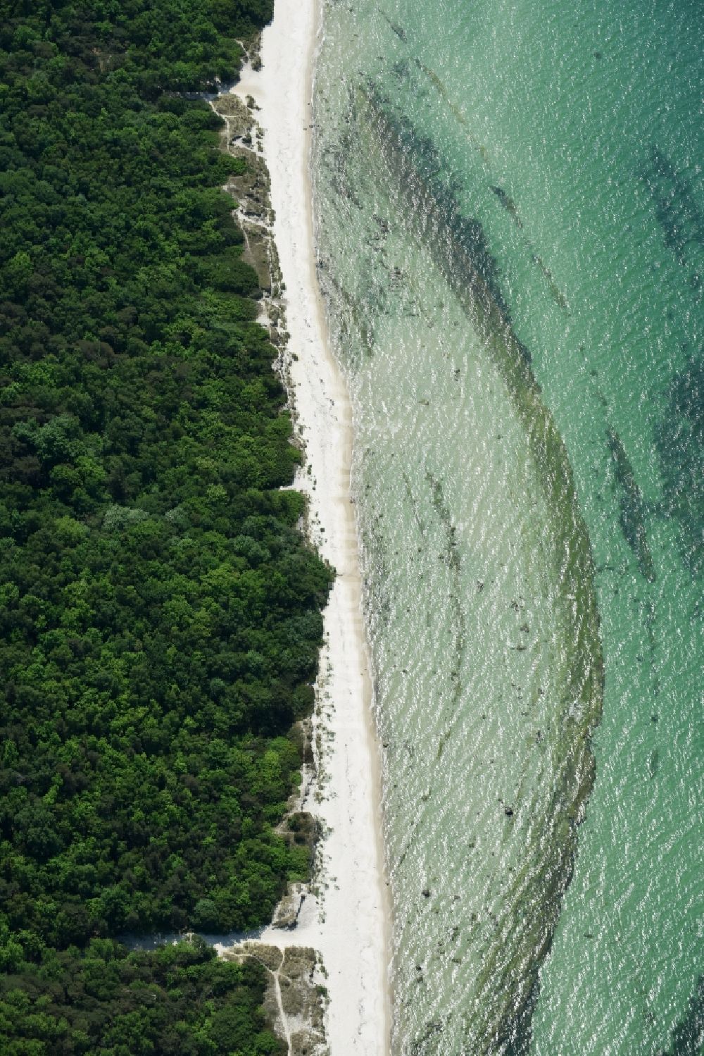 Luftbild Ronne - Insel Bornholm - Sandstrand- Landschaft an der Ostsee in Ronne - Insel Bornholm in , Dänemark