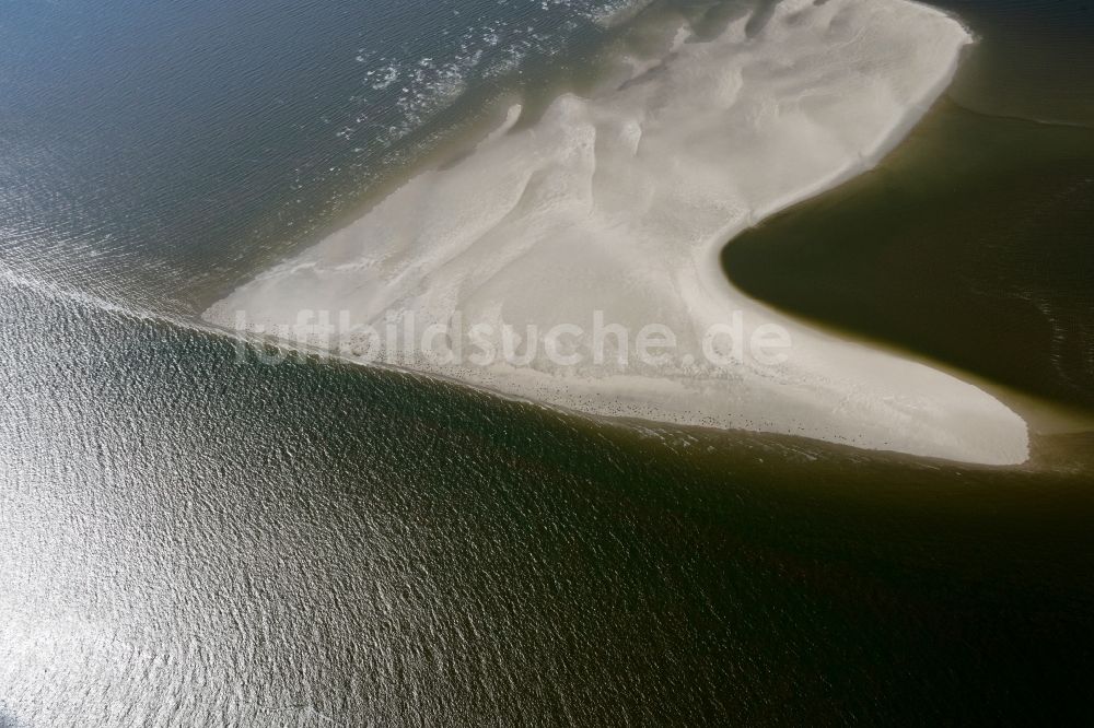 Luftbild Pellworm - Sandstrand- Landschaft mit Seehundbänken in Pellworm im Bundesland Schleswig-Holstein