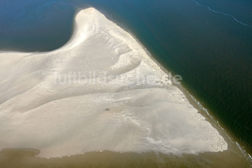 Pellworm von oben - Sandstrand- Landschaft mit Seehundbänken in Pellworm im Bundesland Schleswig-Holstein