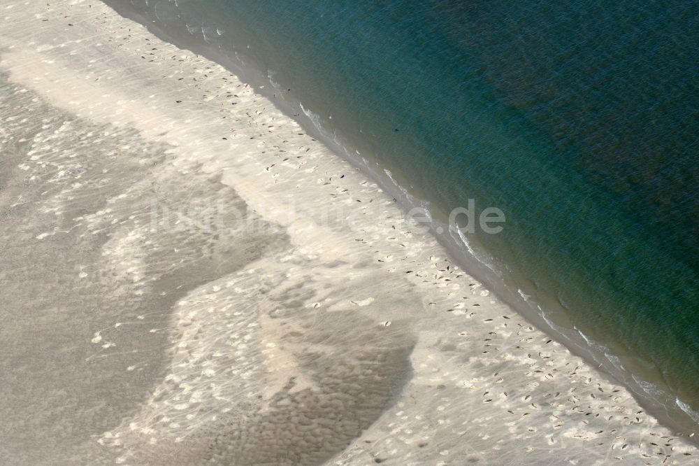 Pellworm aus der Vogelperspektive: Sandstrand- Landschaft mit Seehundbänken in Pellworm im Bundesland Schleswig-Holstein