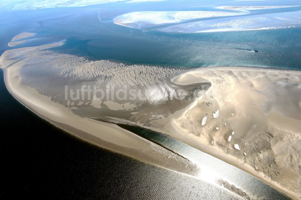 Luftbild Pellworm - Sandstrand- Landschaft mit Seehundbänken in Pellworm im Bundesland Schleswig-Holstein