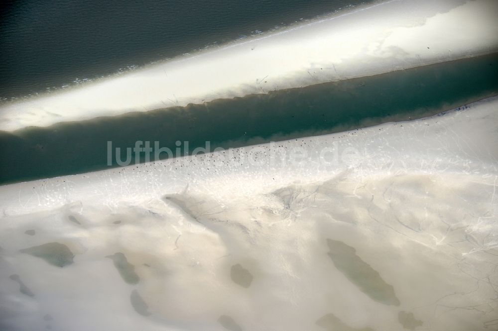 Pellworm aus der Vogelperspektive: Sandstrand- Landschaft mit Seehundbänken in Pellworm im Bundesland Schleswig-Holstein