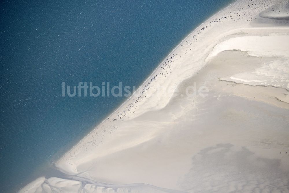 Luftbild Pellworm - Sandstrand- Landschaft mit Seehundbänken in Pellworm im Bundesland Schleswig-Holstein