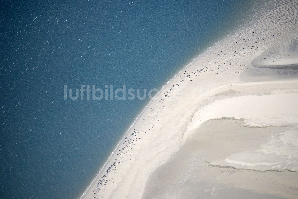 Luftaufnahme Pellworm - Sandstrand- Landschaft mit Seehundbänken in Pellworm im Bundesland Schleswig-Holstein