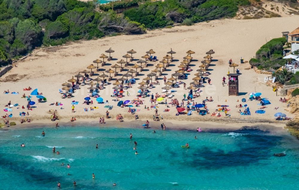 Luftbild Cala Anguila-Cala Mendia - Sandstrand- Landschaft mit Sonnenschirm - Reihen an der CALA Estany d'en Mas in Cala Anguila-Cala Mendia in Balearische Insel Mallorca, Spanien